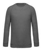 Heren Sweater BIO Ronde Hals Raglan Mouwen